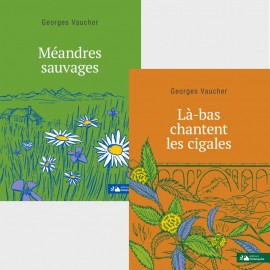 Georges Vaucher offre groupée