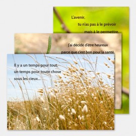 3 cartes "Nature" avec enveloppes
