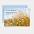 3 cartes "Nature" avec enveloppes