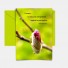 3 cartes "Nature" avec enveloppes